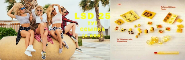 молекула духа Козельск