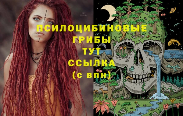 молекула духа Козельск