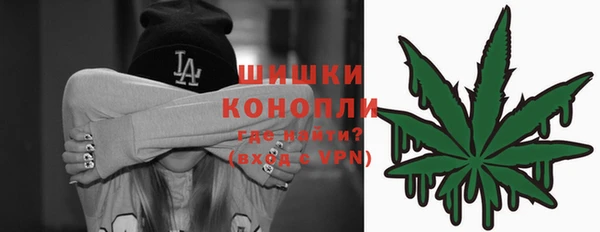 молекула духа Козельск